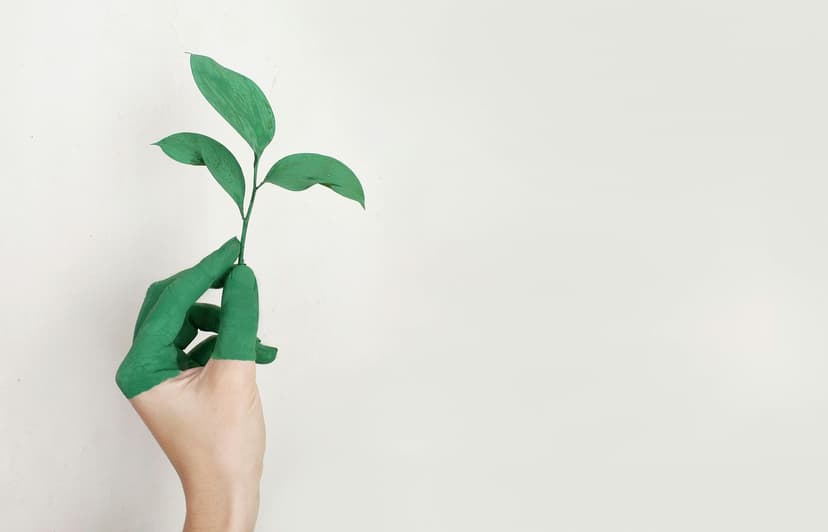 Endless Growth